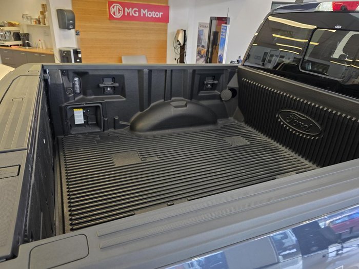 2021 Ford F-150 Lariat (No Series)