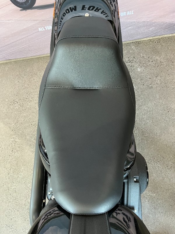2025 Harley-davidson FXLRS LOW RIDER S (117) Vivid Black