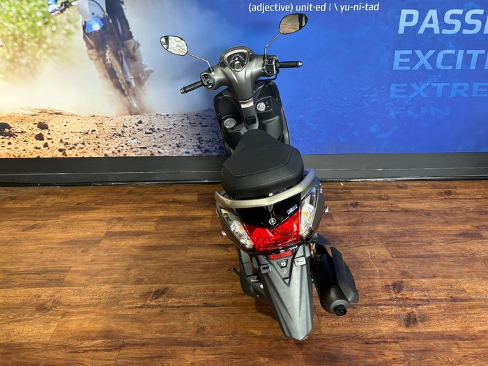 2025 Yamaha D ELIGHT 125 (LTS125-C) Grey