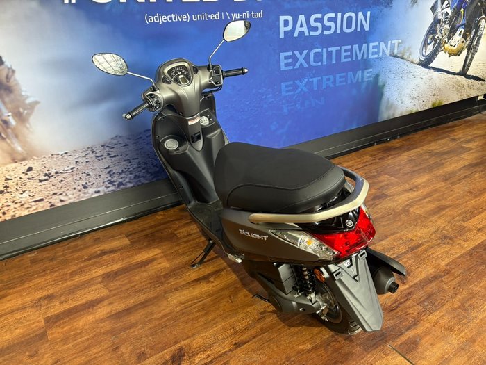 2025 Yamaha D ELIGHT 125 (LTS125-C) Grey