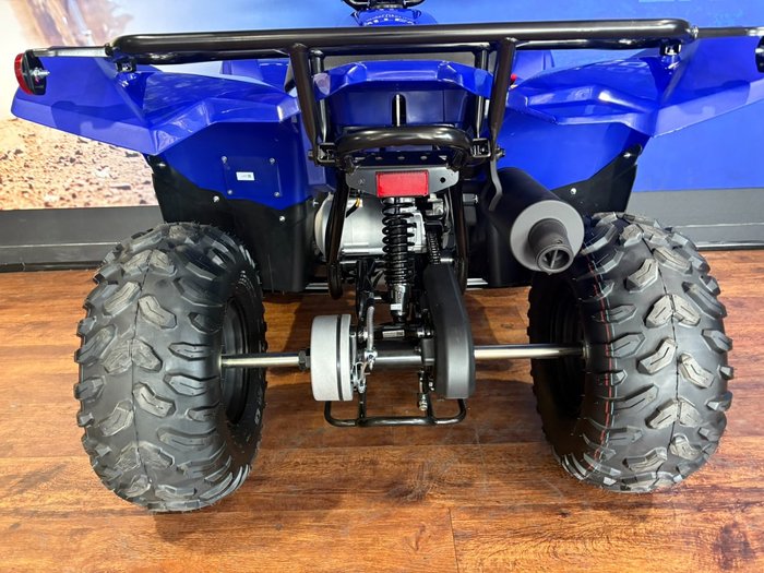 2025 Yamaha GRIZZLY 110