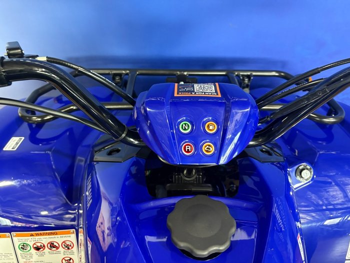 2025 Yamaha GRIZZLY 110