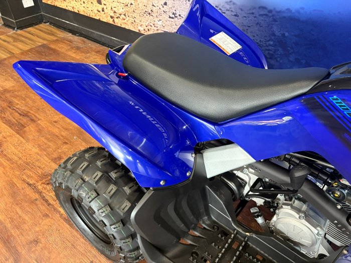 2025 Yamaha RAPTOR 110 Blue