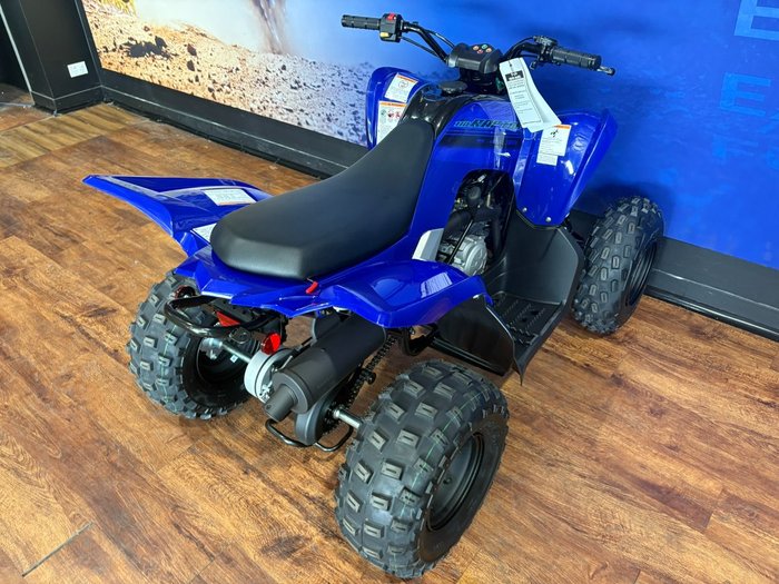 2025 Yamaha RAPTOR 110 Blue