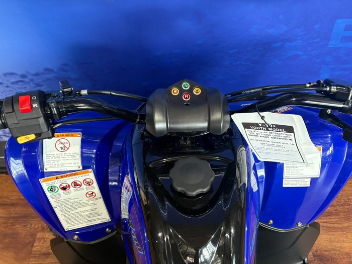2025 Yamaha RAPTOR 110 Blue
