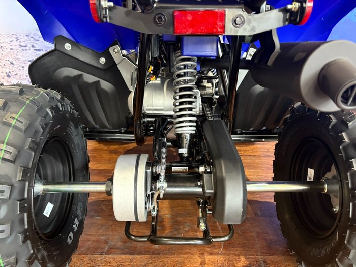 2025 Yamaha RAPTOR 110 Blue
