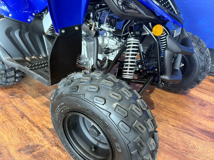 2025 Yamaha RAPTOR 110 Blue