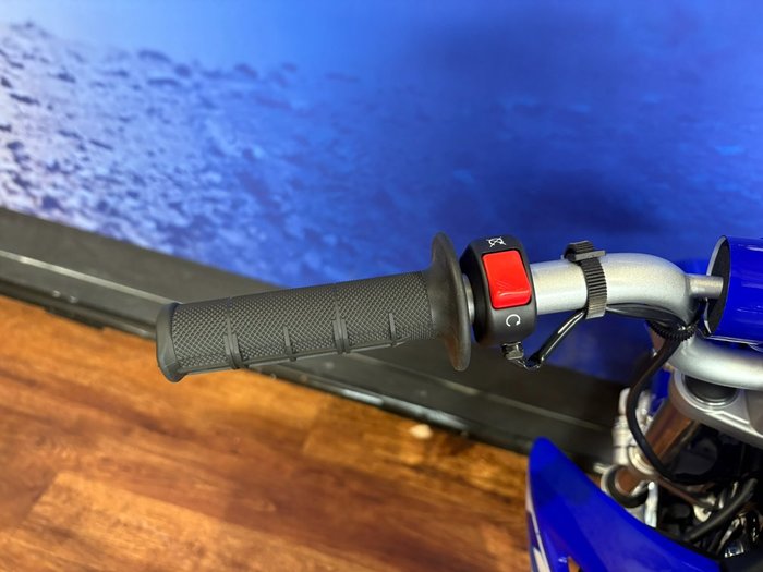 2025 Yamaha TTR110E Blue