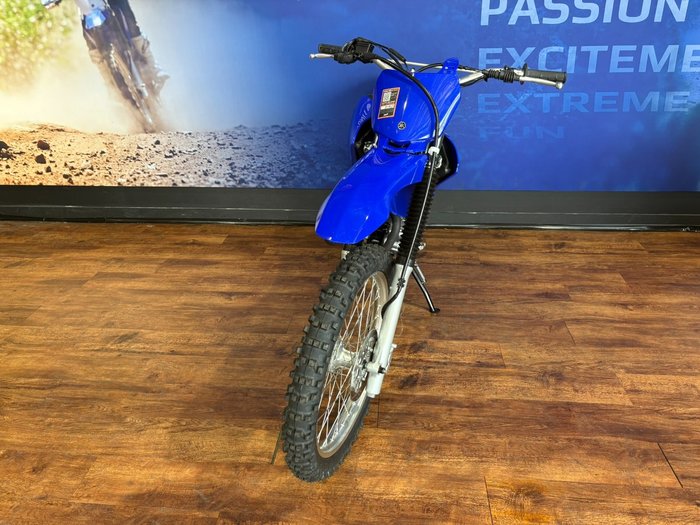 2025 Yamaha TT-R230 Blue