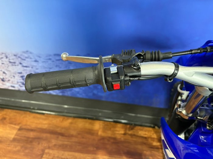 2025 Yamaha TT-R230 Blue