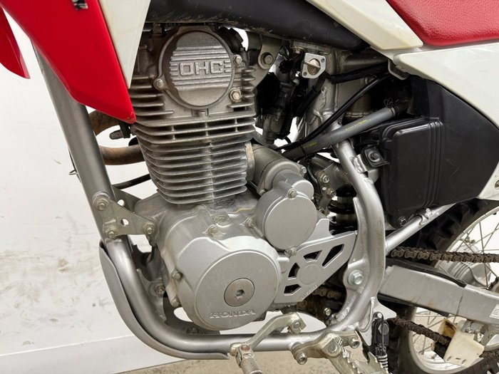 2019 Honda CRF230F Red
