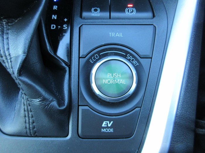 2021 Toyota RAV4 Cruiser