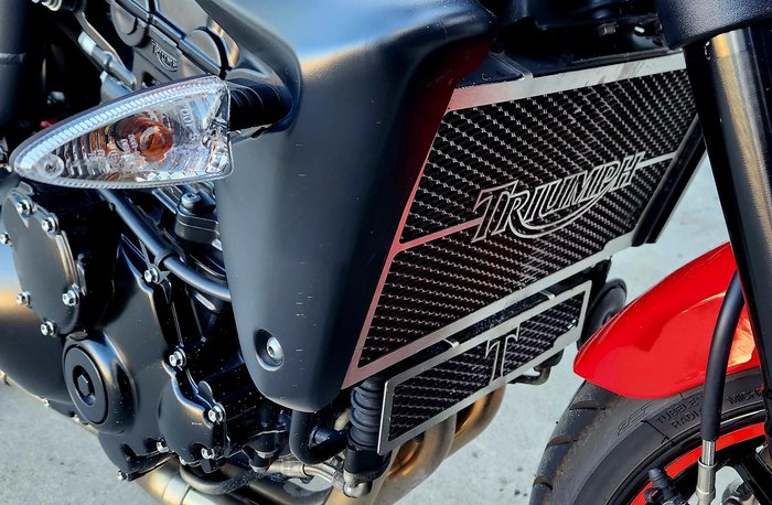 2010 Triumph Speed Triple 1050 SE Speed Triple Red