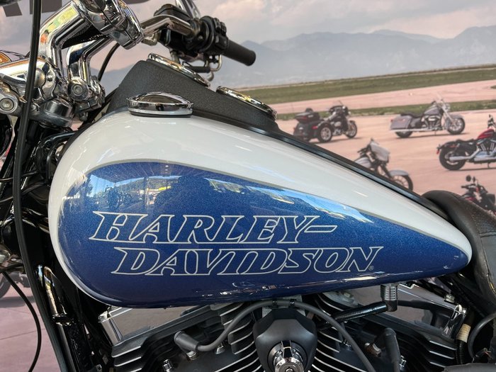 2015 Harley-davidson FXDL LOW RIDER White