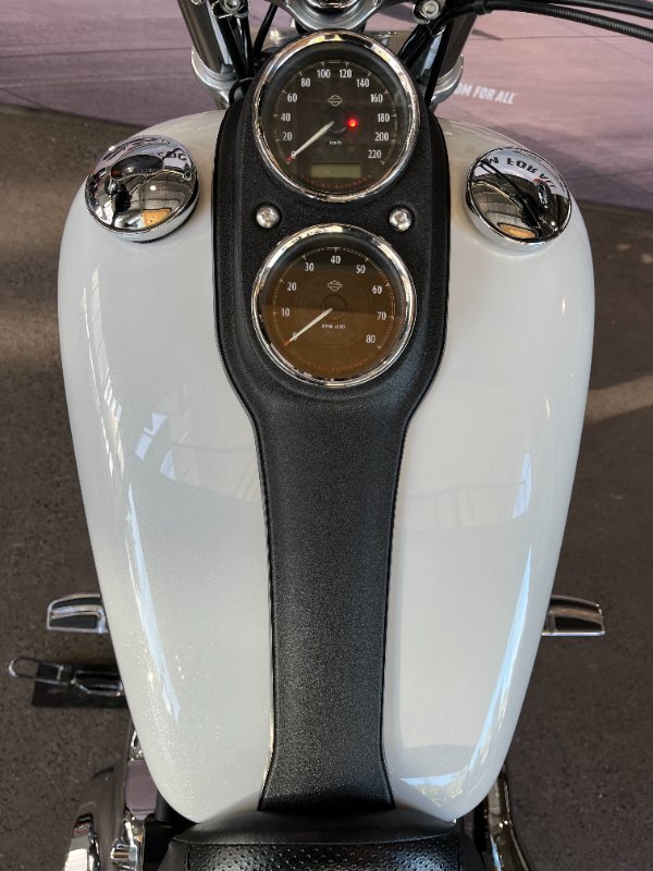 2015 Harley-davidson FXDL LOW RIDER White