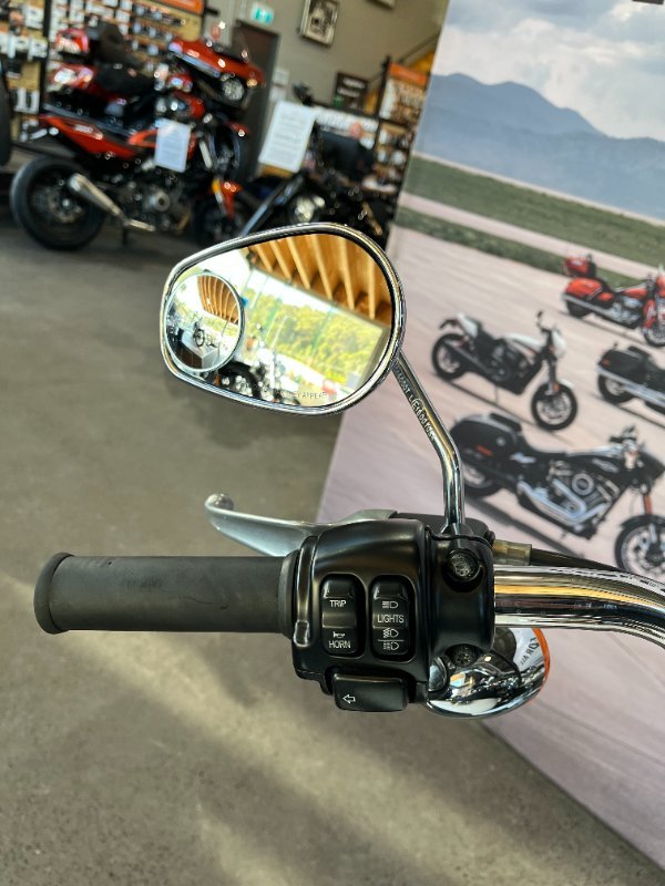 2015 Harley-davidson FXDL LOW RIDER White