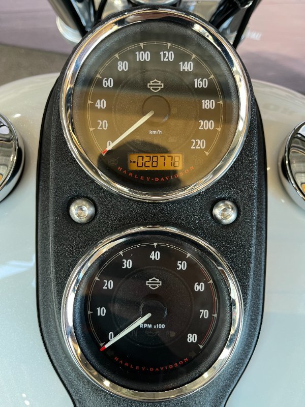 2015 Harley-davidson FXDL LOW RIDER White