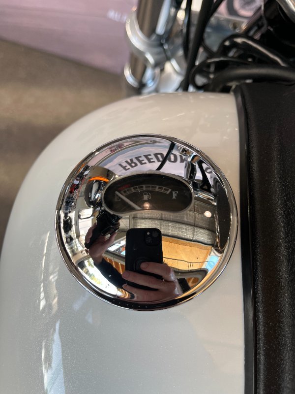 2015 Harley-davidson FXDL LOW RIDER White