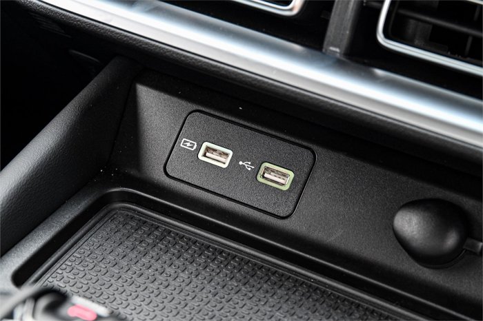 2025 GWM Cannon Premium