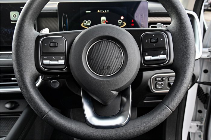 2025 GWM Cannon Premium