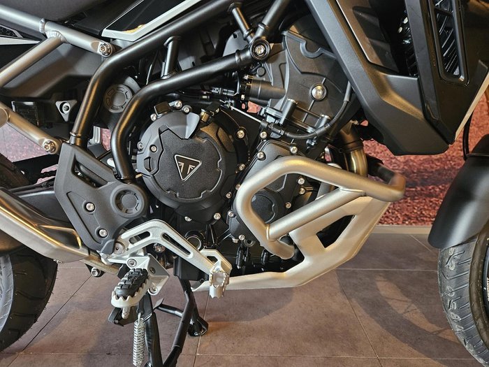 2025 Triumph Tiger 900 Rally Pro Tiger