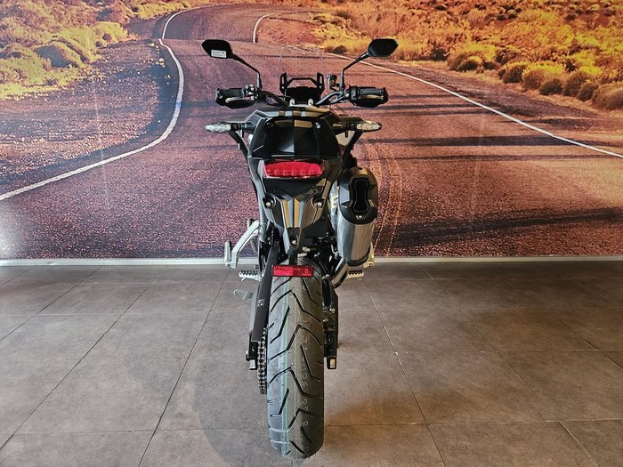 2025 Triumph Tiger 900 Rally Pro Tiger