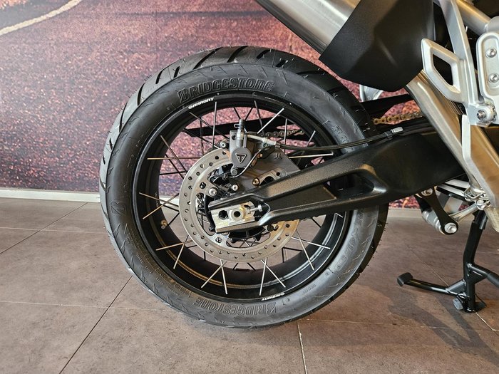 2025 Triumph Tiger 900 Rally Pro Tiger