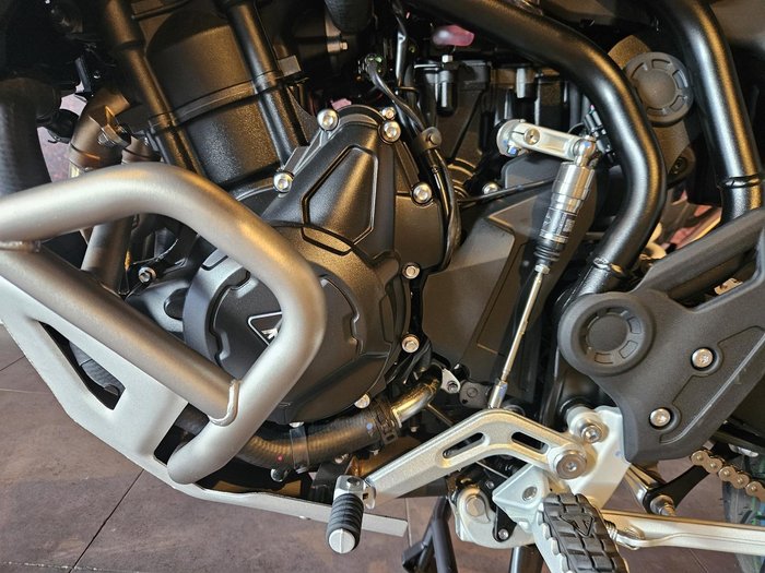 2025 Triumph Tiger 900 Rally Pro Tiger