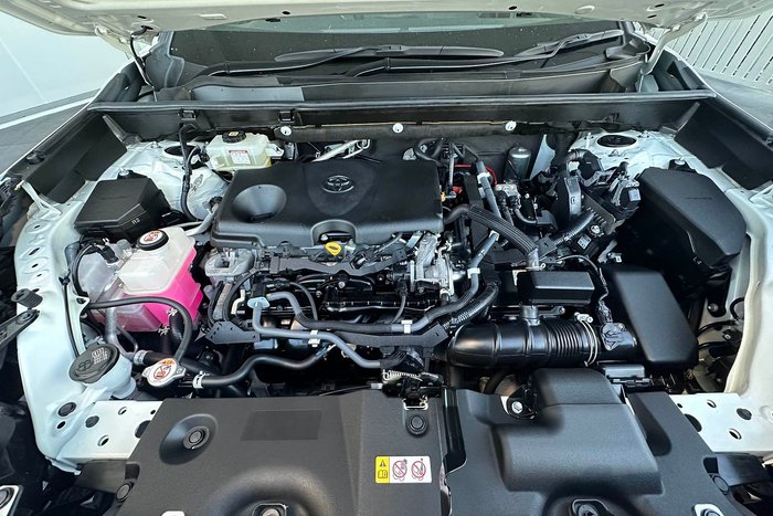 2020 Toyota RAV4 Cruiser