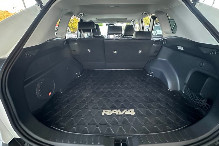 2020 Toyota RAV4 Cruiser