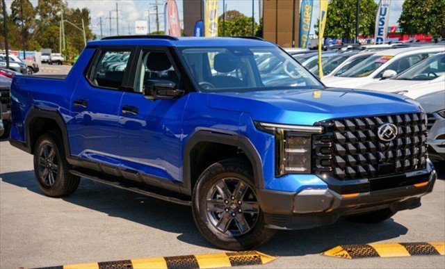 2025 LDV Terron 9
