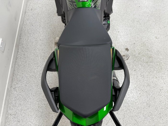 2025 Kawasaki NINJA 1000SX Green