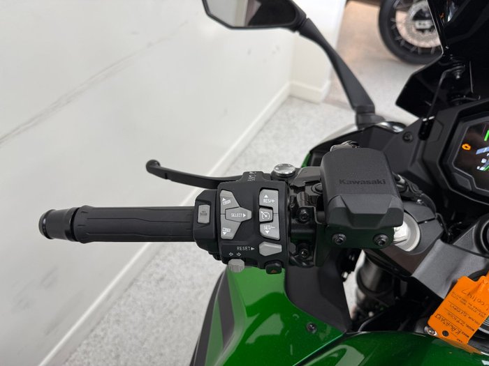 2025 Kawasaki NINJA 1000SX Green