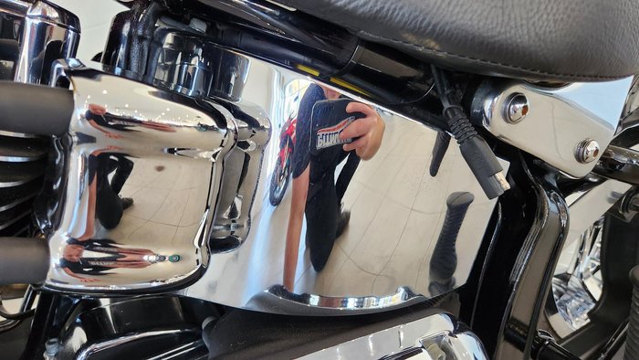 2013 Harley-Davidson Fat Boy 103 (FLSTF) Softail Gold