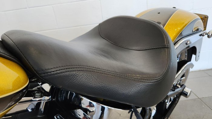 2013 Harley-Davidson Fat Boy 103 (FLSTF) Softail Gold