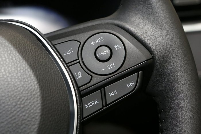 2024 Toyota RAV4 Cruiser