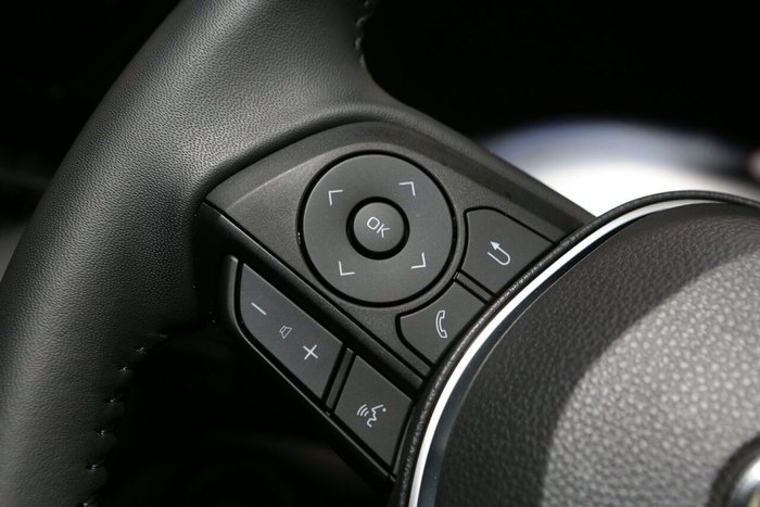 2024 Toyota RAV4 Cruiser