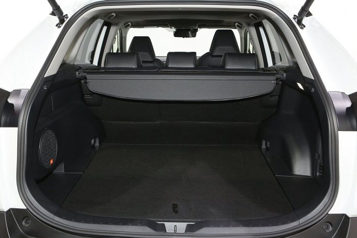 2024 Toyota RAV4 Cruiser