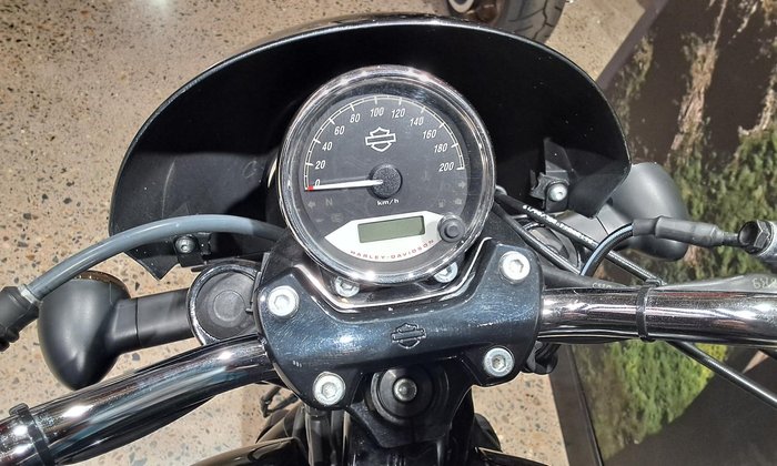 2019 Harley-Davidson Street 500 (XG500) Street Black
