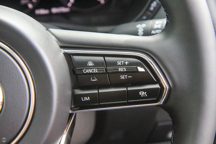 2025 Mazda CX-80 P50e GT