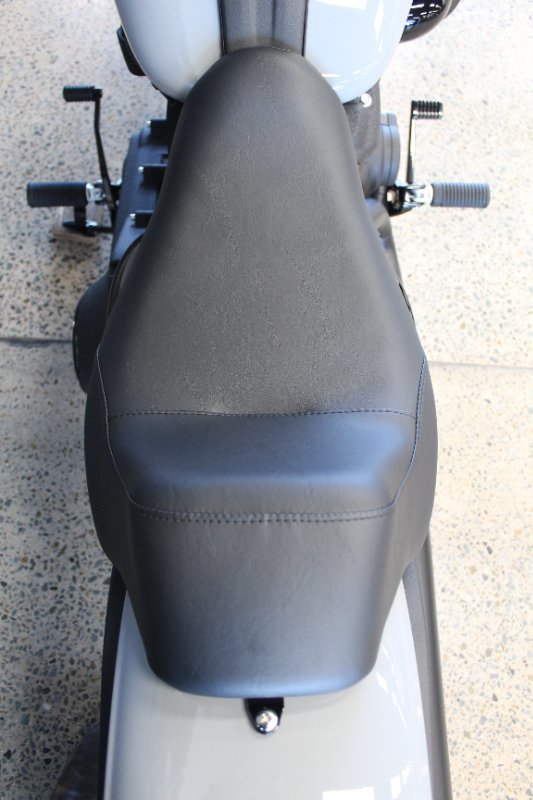 2025 Harley-davidson FXLRS LOW RIDER S (117)