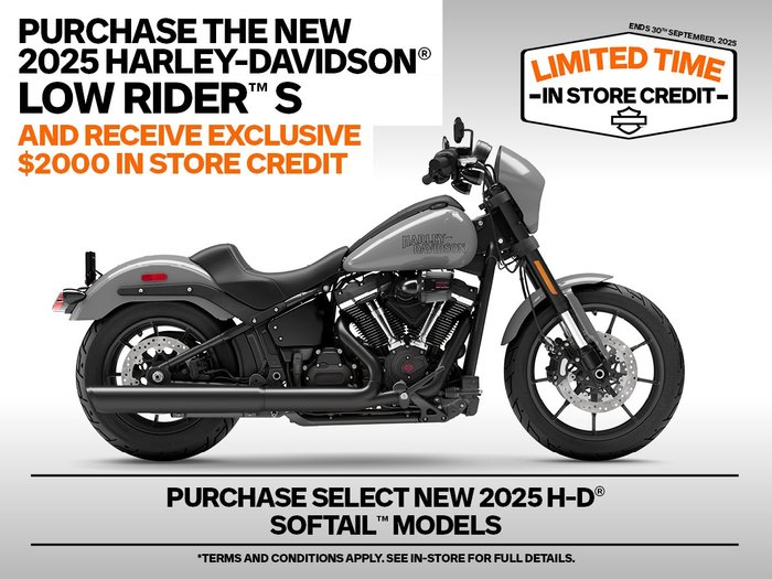 2025 Harley-davidson FXLRS LOW RIDER S (117)