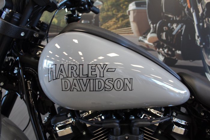2025 Harley-davidson FXLRS LOW RIDER S (117)