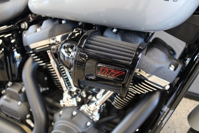 2025 Harley-davidson FXLRS LOW RIDER S (117)