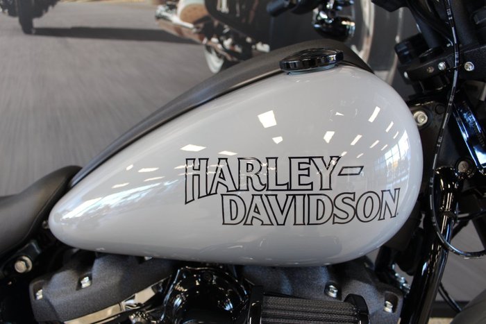 2025 Harley-davidson FXLRS LOW RIDER S (117)