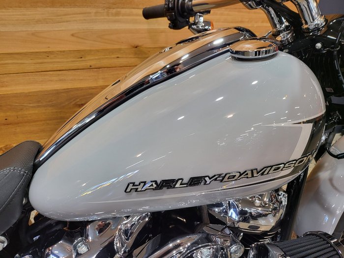 2024 Harley-davidson FXBR BREAKOUT (117) Grey