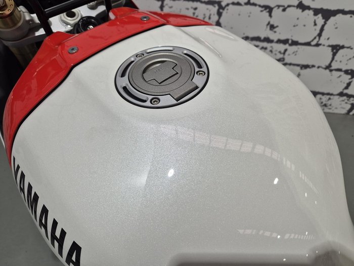 2024 Yamaha XSR900 GP XSR White