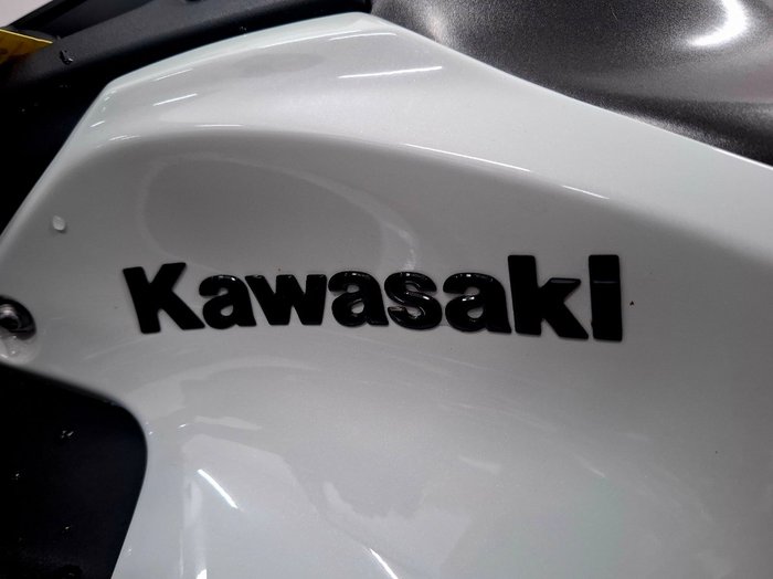 2021 Kawasaki 2021 Kawasaki 900CC Z900 SUPERNAKED (ZR900) SPORTS Silver