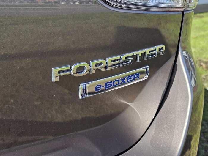 2024 Subaru Forester Hybrid L S5 MY24 AWD Brilliant Bronze