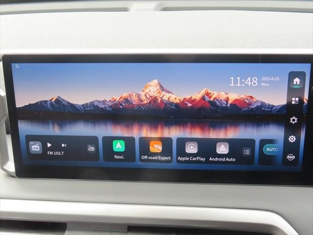 2025 LDV Terron 9 Origin